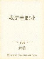 我是全职业
